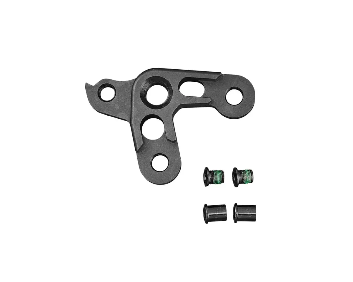 Santa Cruz Dropout Kit V10 1.0 Thru-Axle Drive Side 1