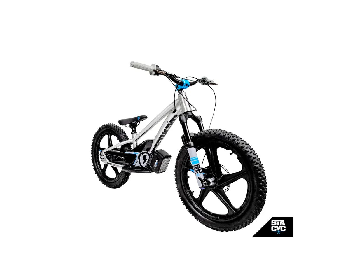 Stacyc 20E Drive Team Edition 1