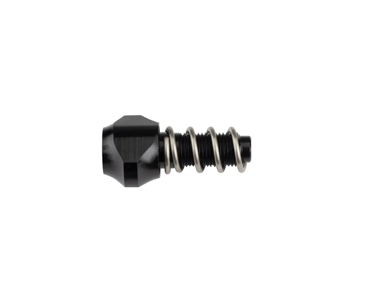 Campagnolo 12S Rear Derailleur Adjusting Screws With Springs (Each) 1