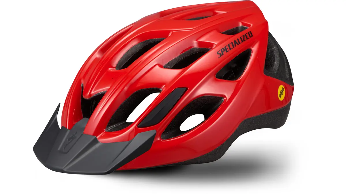 Specialized Chamonix 2 1