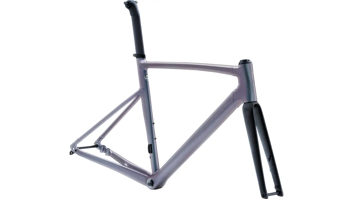 2022 Specialized Allez Sprint Frameset 1