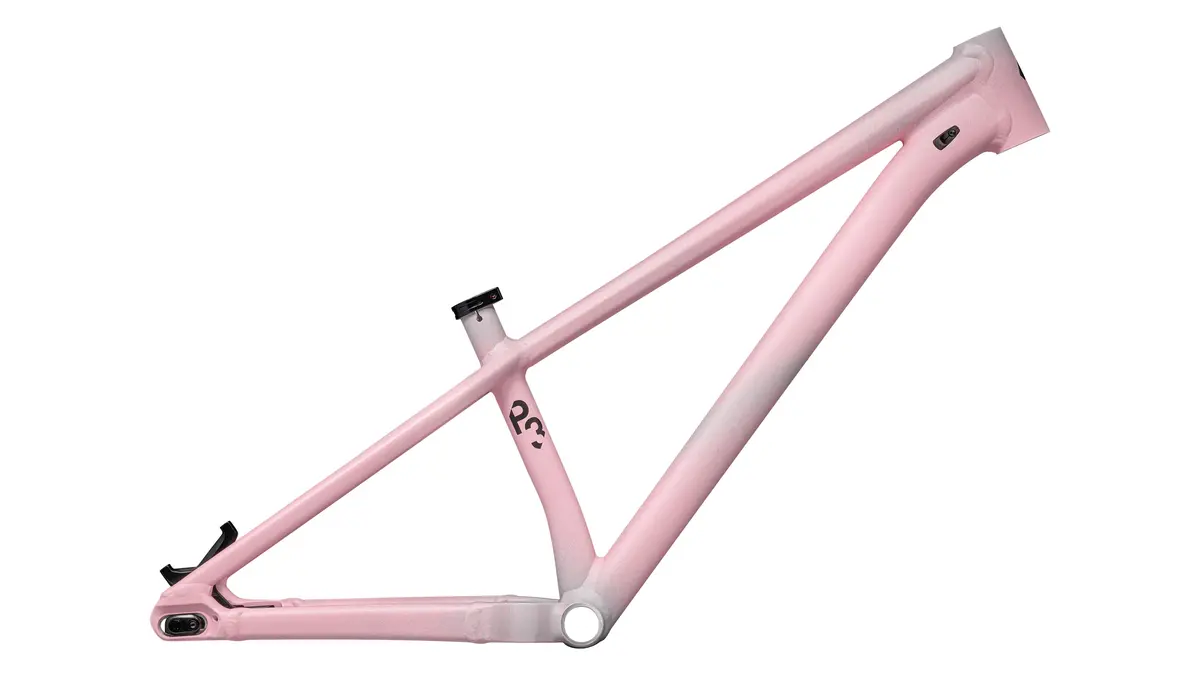 2023 Specialized P.3 Frame 1