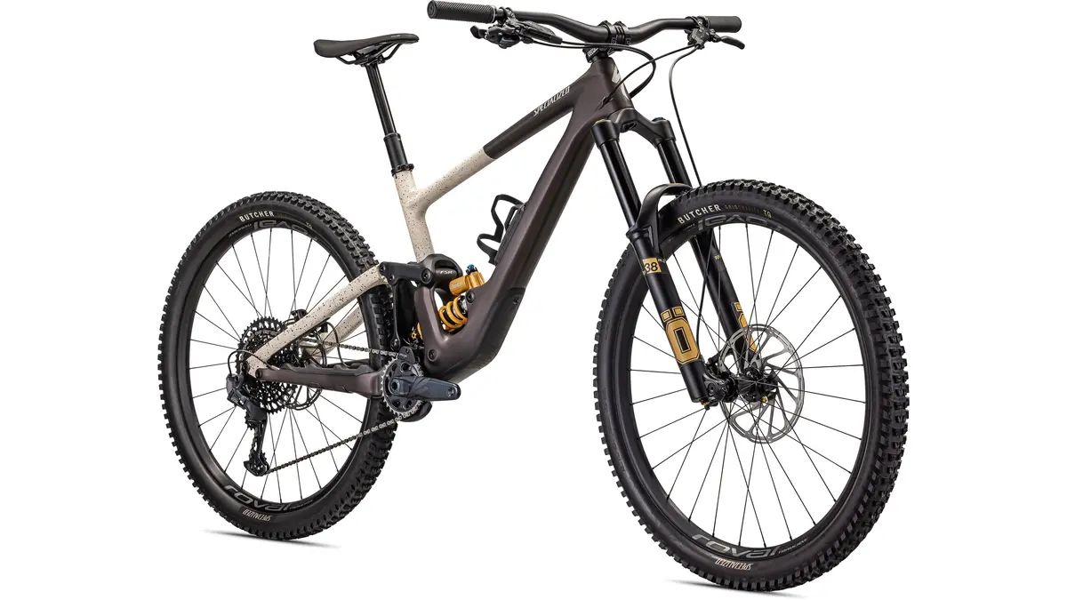 2022 Specialized Enduro Ltd 2