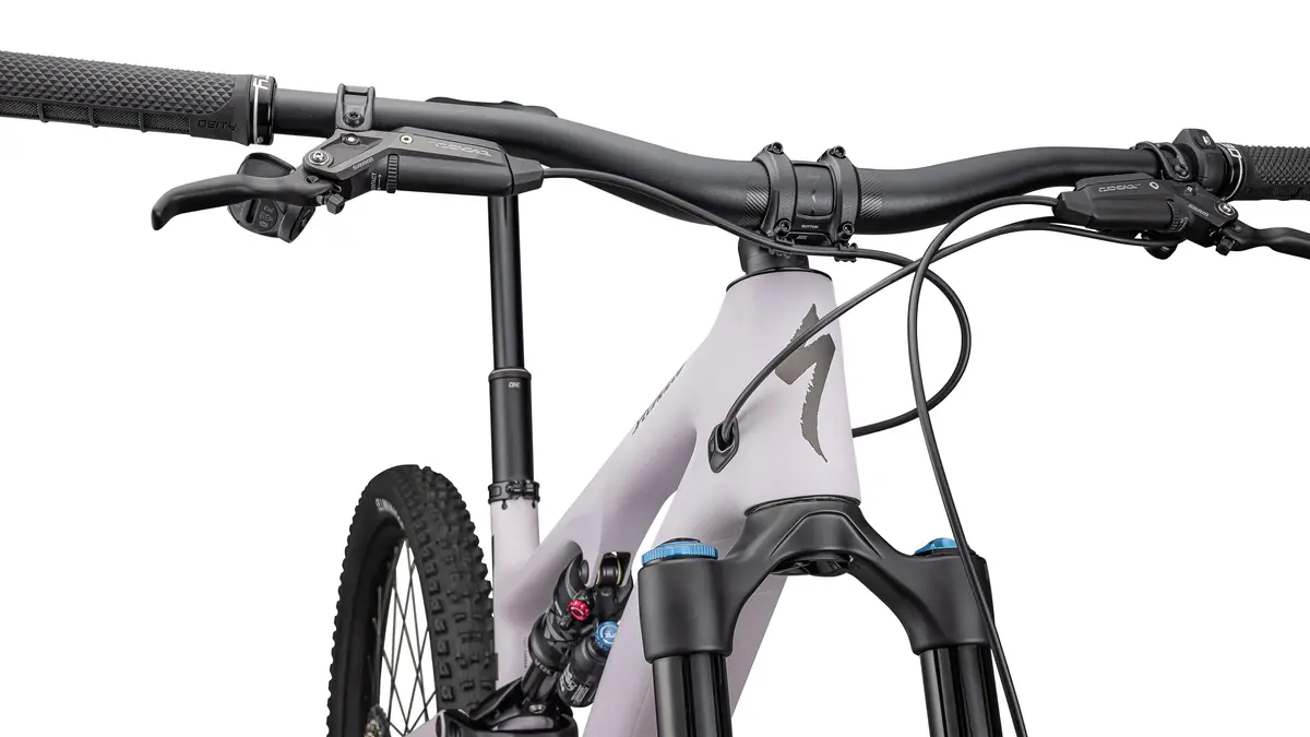 2024 Specialized Turbo Levo Sl 2 Expert Carbon 10