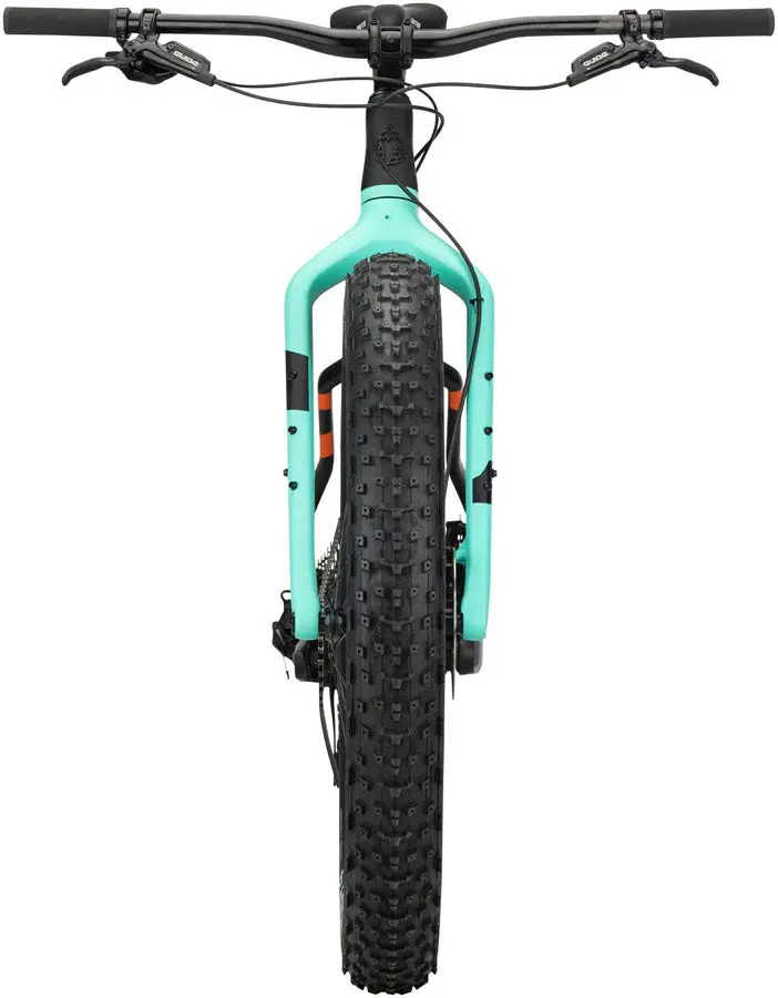 Salsa Beargrease Carbon Gx Eagle Fat Bike - Black 4
