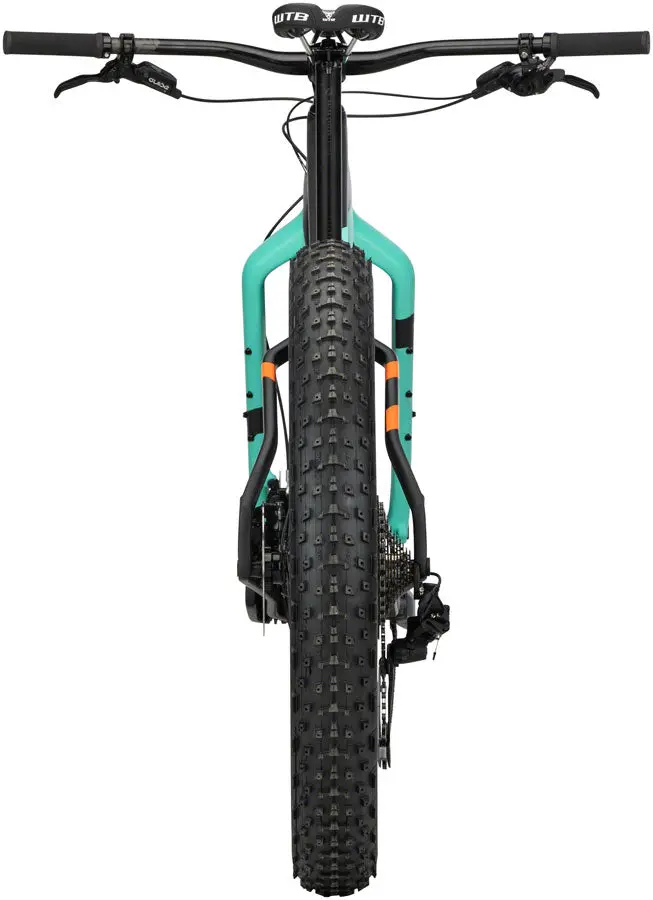 Salsa Beargrease Carbon Gx Eagle Fat Bike - Black 5