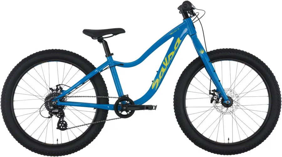 Salsa Timberjack 24 Blue 1