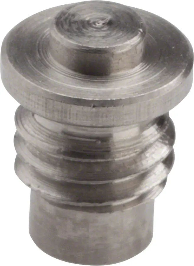 Campagnolo Caliper Brake Support Adjust Screw 1