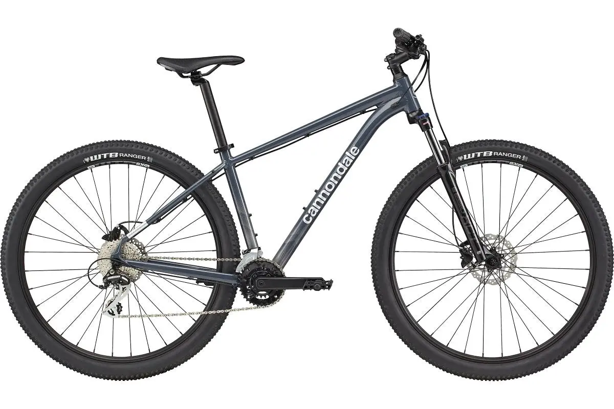2021 Cannondale Trail 6 Sltgry Lg 1