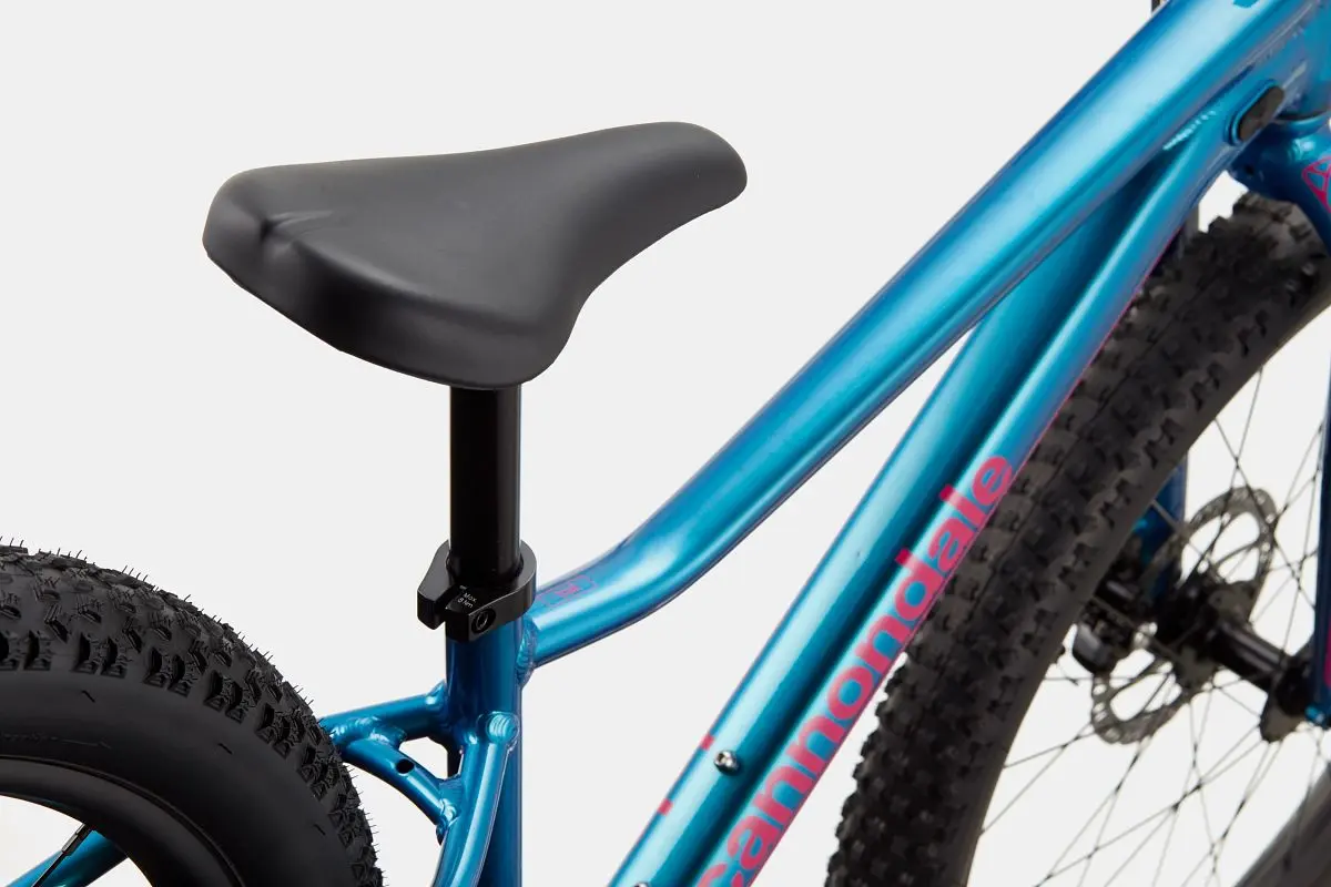 Cannondale Trail Plus 24 1