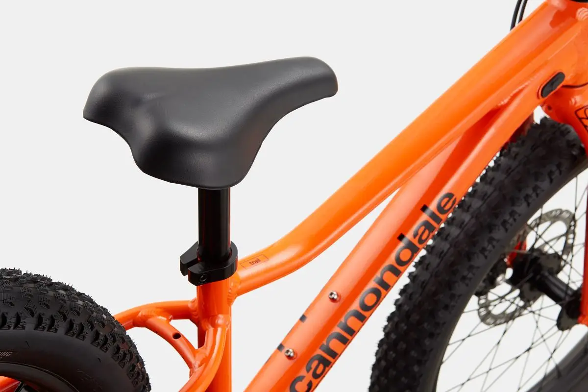 Cannondale Trail Plus 20 1
