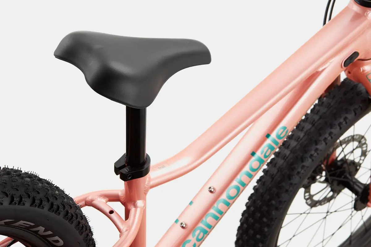 Cannondale Trail Plus 20 2