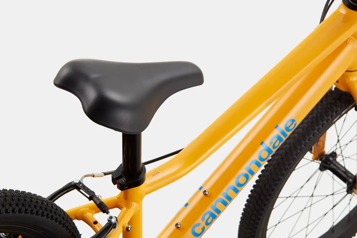 Cannondale Quick 20 1