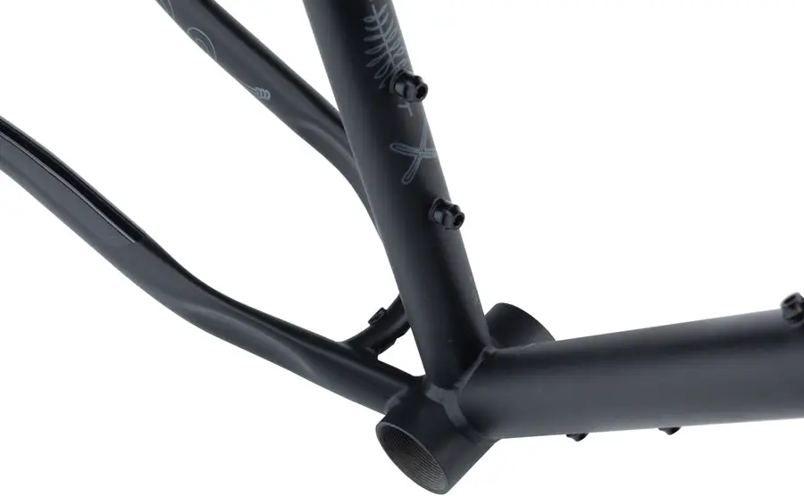 Salsa Fargo Frameset - Black 5
