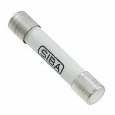Fluke Amprobe Fp540 10A/500V Fuse 2 Per Pack (Item No. 3157024) 1