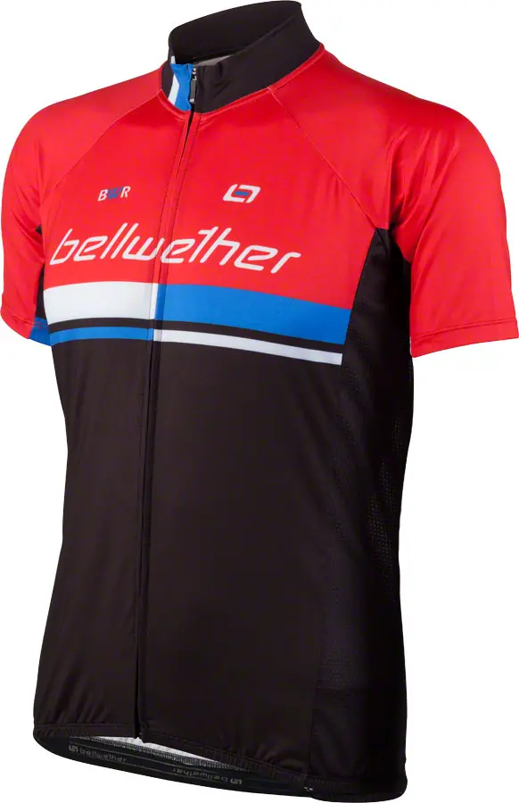 Bellwether Matrix 1