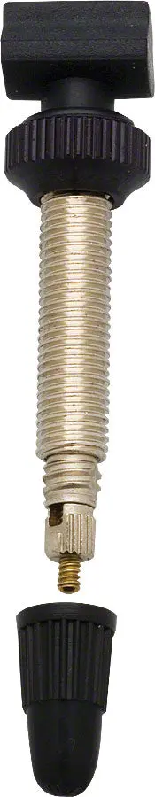 Dt Swiss Tubeless Valves (Pair) 1