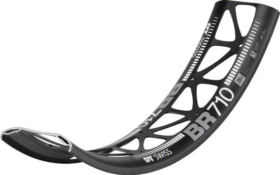 Dt Swiss Big Ride Rim 1