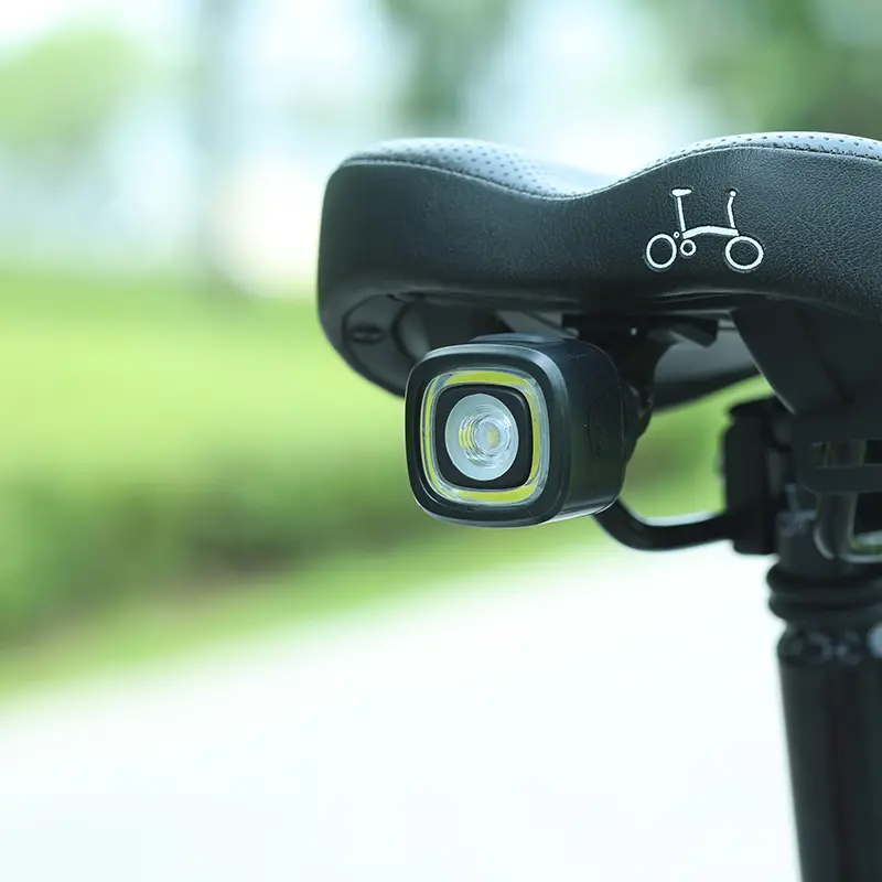 Taillight Gopro Mount For Brompton Folding Bikes (Saddix) 2