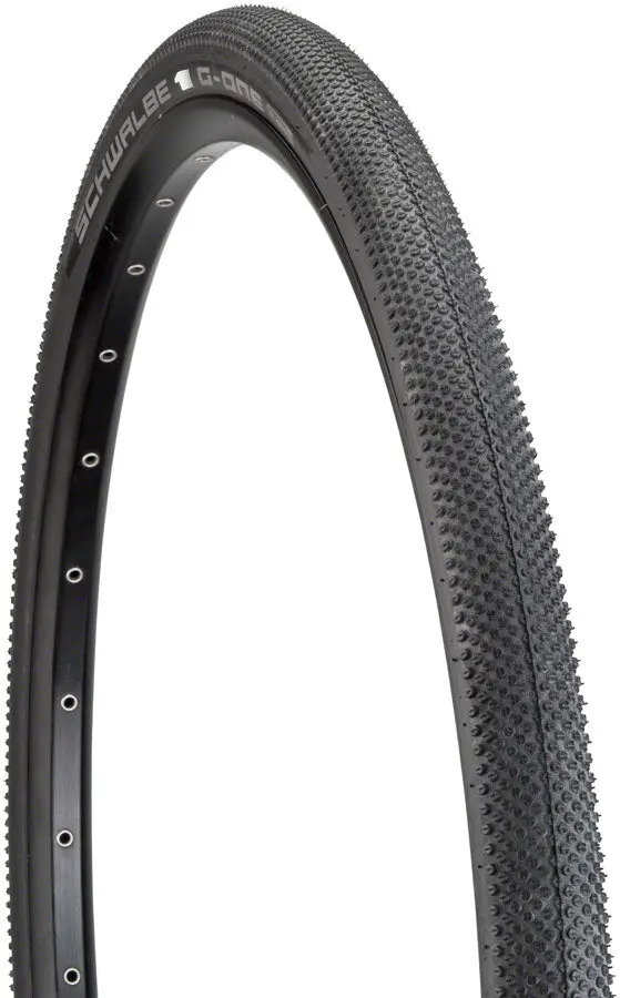 Schwalbe G-One Allround Tire 1