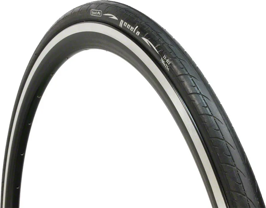 Fyxation Accela 1