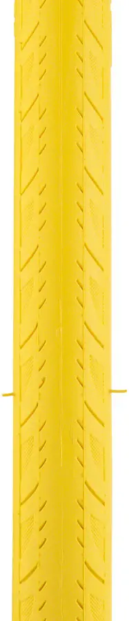 Saris Trainer Tire 2