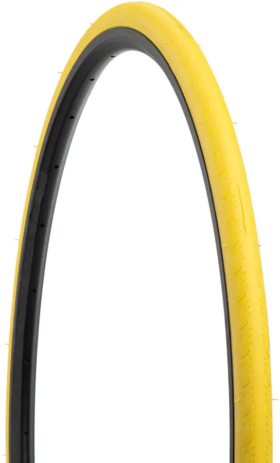 Saris Trainer Tire 1
