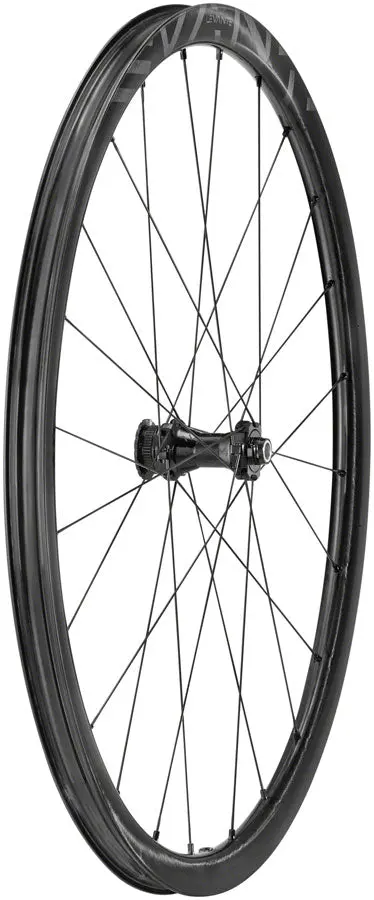 Campagnolo Levante Front Wheel 1