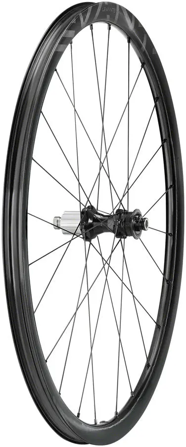 Campagnolo Levante Rear Wheel 1