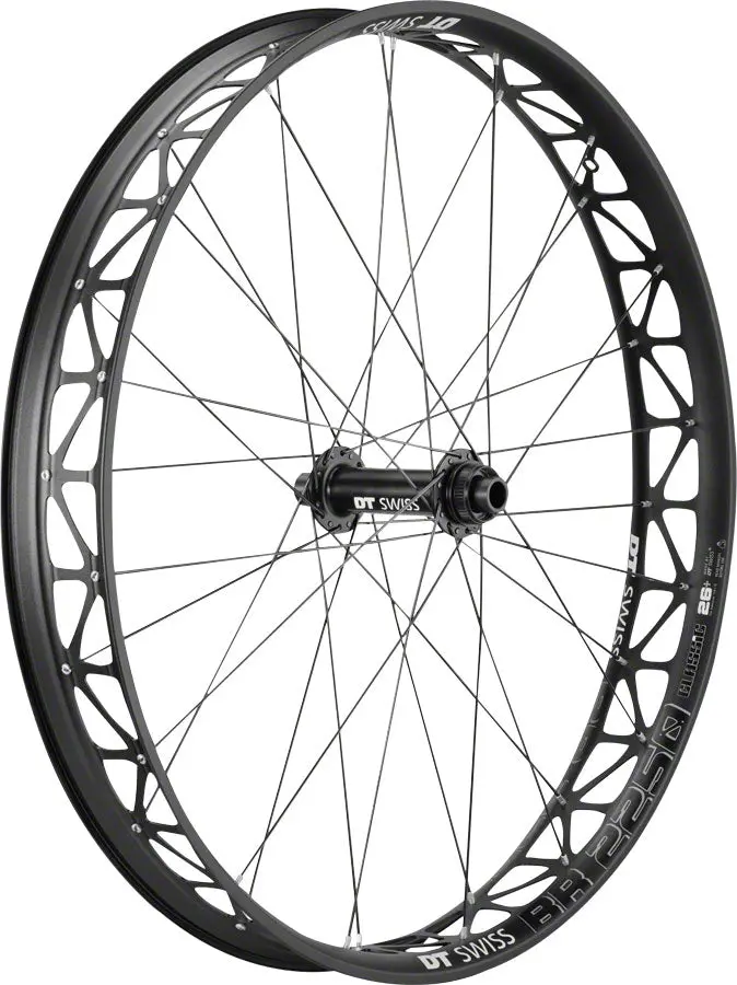 Dt Swiss Big Ride Front Wheel 1