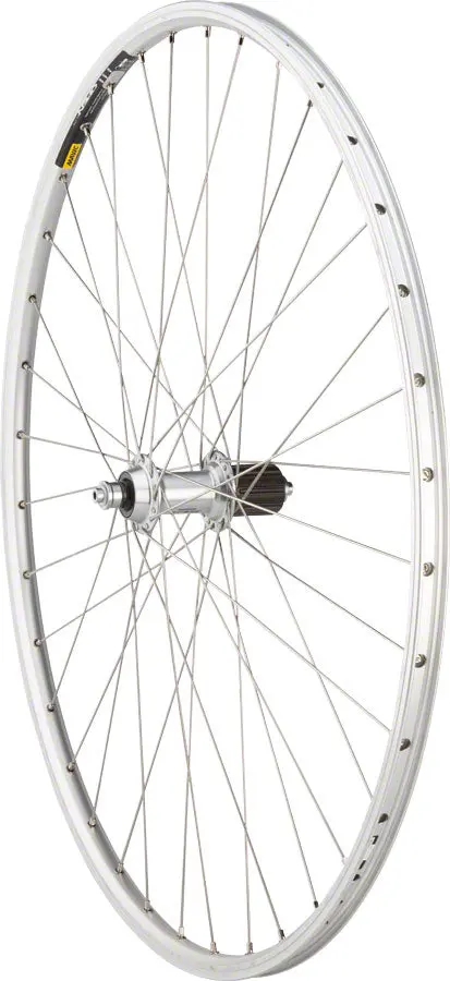 Quality Wheels 105 / Open Elite Rear Wheel 1