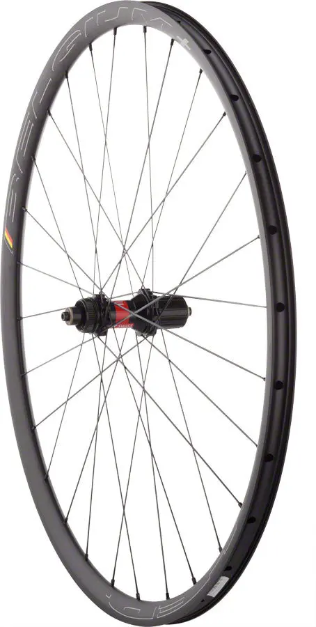 Quality Wheels Dt 240 / Belgium+ Rear Wheel 1