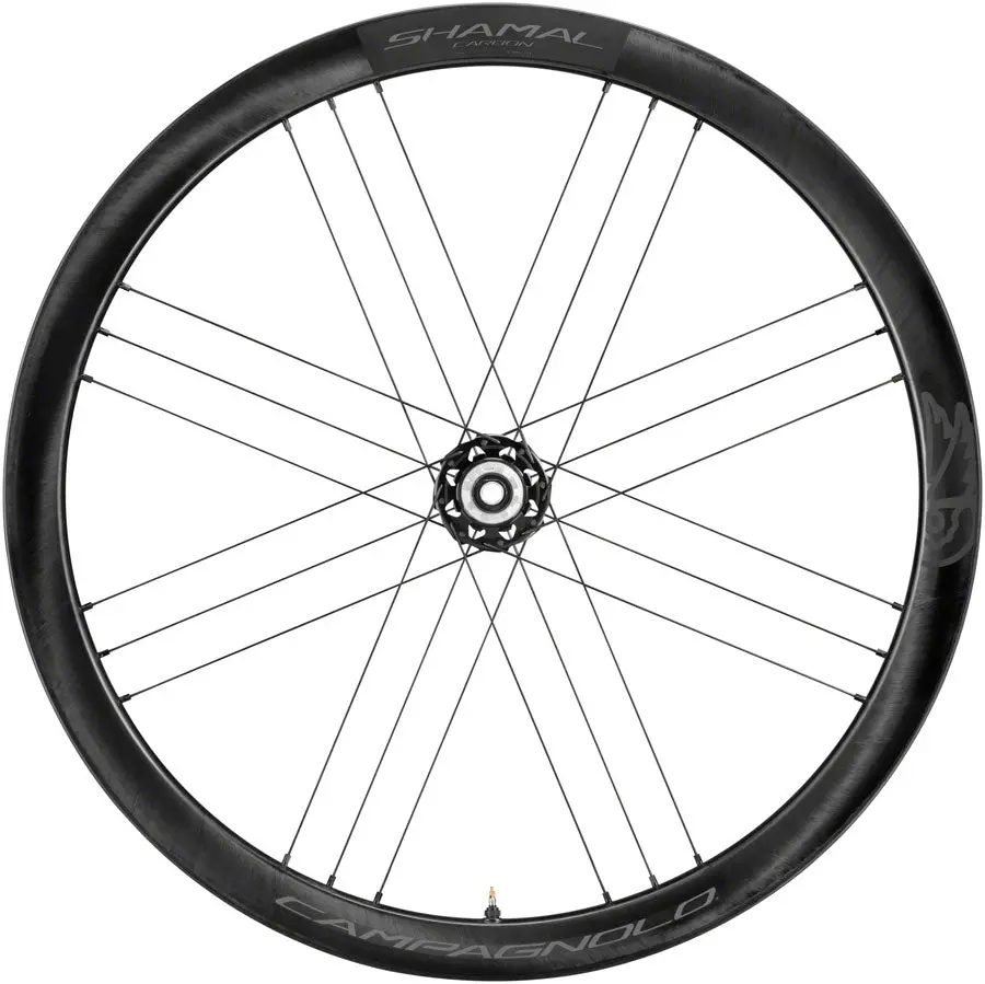 Campagnolo Campagnolo Shamal Carbon Disc Brake Rear Wheel 1