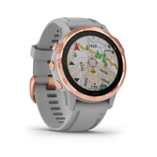 Garmin Fenix 6S Sapphire Rose Gold/Gry Band 1