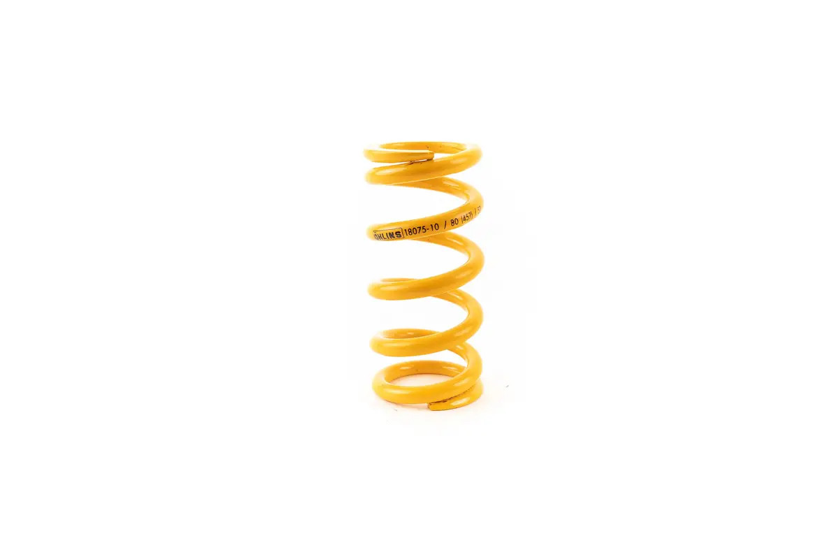 Öhlins Spring 36/113/80 456" 1